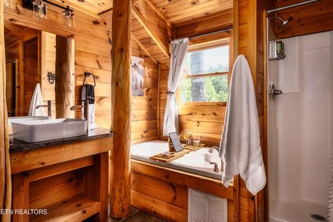 Tiny photo for 2615 Bear Crossing Way, Sevierville, TN 37862 (MLS # 1335734)