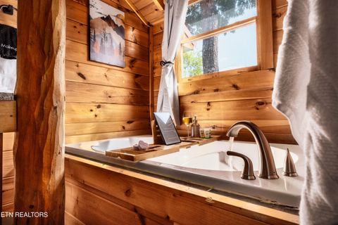 Tiny photo for 2615 Bear Crossing Way, Sevierville, TN 37862 (MLS # 1335734)