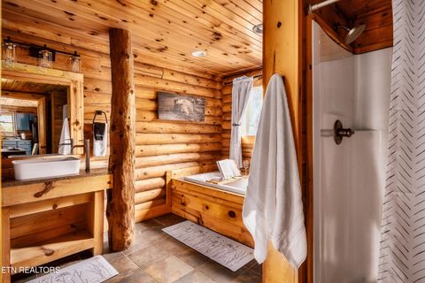 Tiny photo for 2615 Bear Crossing Way, Sevierville, TN 37862 (MLS # 1335734)