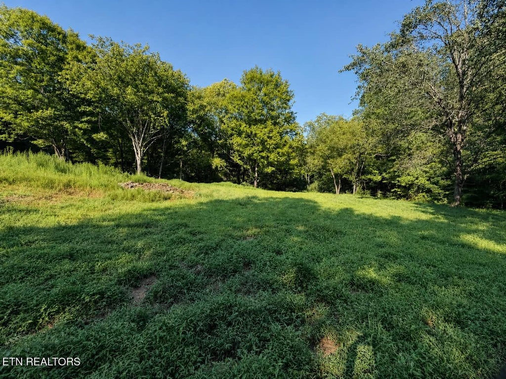 Photo of 214 County Road 87, Athens, TN 37303 (MLS # 1353610)