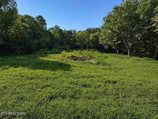214 COUNTY ROAD 87, ATHENS, TN 37303 - Image 2174fe1e9171efb2e227e2e3333bc363/3629159638