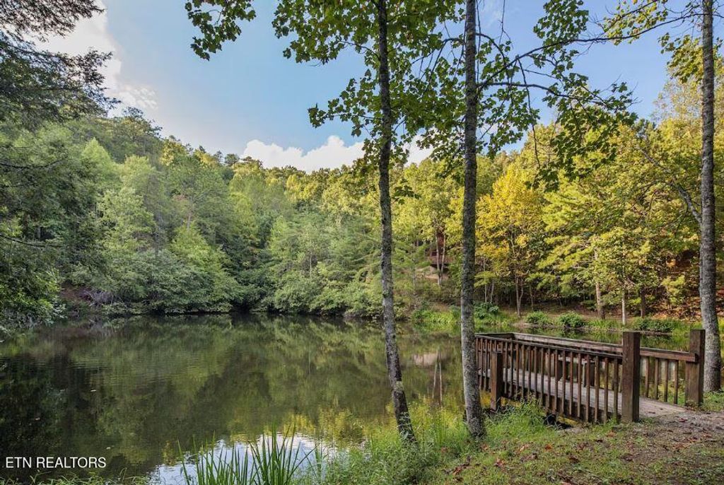 Photo of 3163 Sourwood Way, Sevierville, TN 37862 (MLS # 1325516)