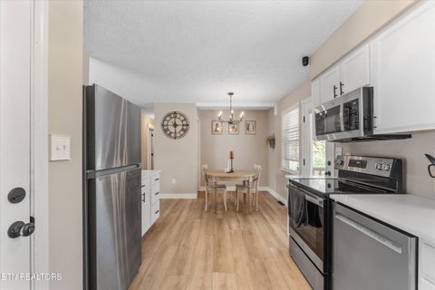 Tiny photo for 158 Boulder Rd, Wartburg, TN 37887 (MLS # 1319273)