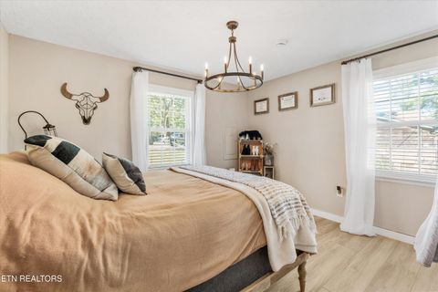 Tiny photo for 158 Boulder Rd, Wartburg, TN 37887 (MLS # 1319273)