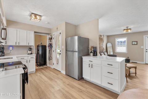 Tiny photo for 158 Boulder Rd, Wartburg, TN 37887 (MLS # 1319273)