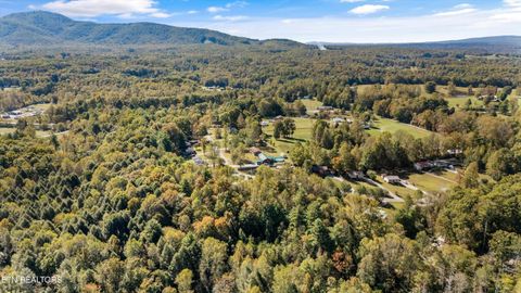 Tiny photo for 158 Boulder Rd, Wartburg, TN 37887 (MLS # 1319273)