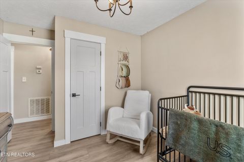 Tiny photo for 158 Boulder Rd, Wartburg, TN 37887 (MLS # 1319273)