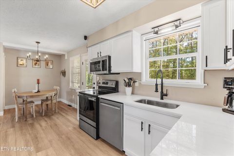 Tiny photo for 158 Boulder Rd, Wartburg, TN 37887 (MLS # 1319273)