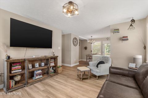 Tiny photo for 158 Boulder Rd, Wartburg, TN 37887 (MLS # 1319273)