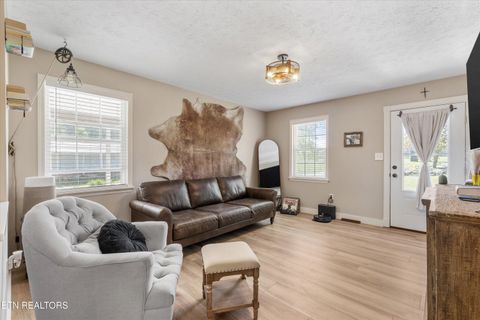 Tiny photo for 158 Boulder Rd, Wartburg, TN 37887 (MLS # 1319273)