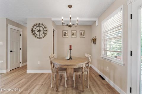 Tiny photo for 158 Boulder Rd, Wartburg, TN 37887 (MLS # 1319273)