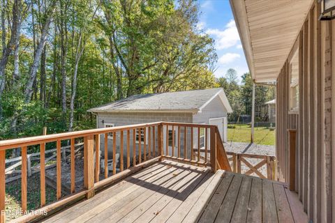 Tiny photo for 158 Boulder Rd, Wartburg, TN 37887 (MLS # 1319273)