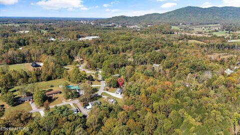 Tiny photo for 158 Boulder Rd, Wartburg, TN 37887 (MLS # 1319273)