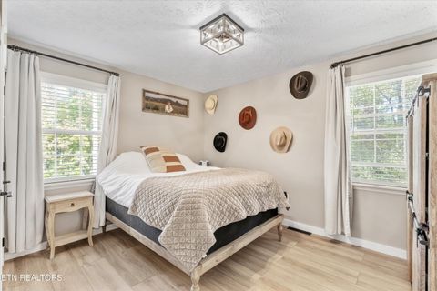 Tiny photo for 158 Boulder Rd, Wartburg, TN 37887 (MLS # 1319273)