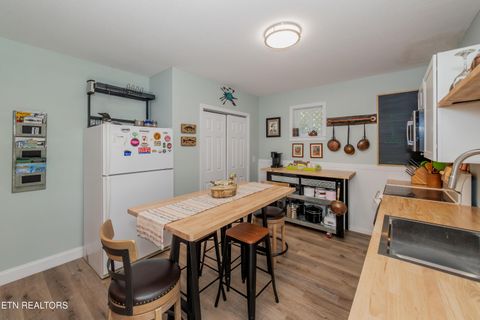 Tiny photo for 117 Mallard Duck Lane, Rockwood, TN 37854 (MLS # 1328381)