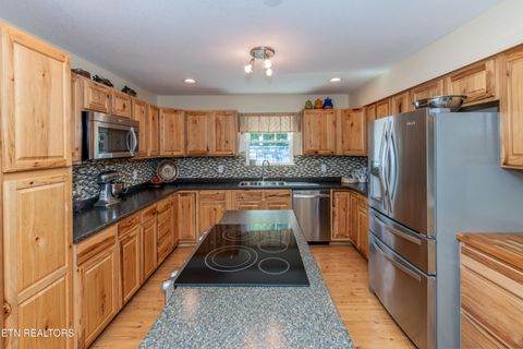 Tiny photo for 117 Mallard Duck Lane, Rockwood, TN 37854 (MLS # 1328381)