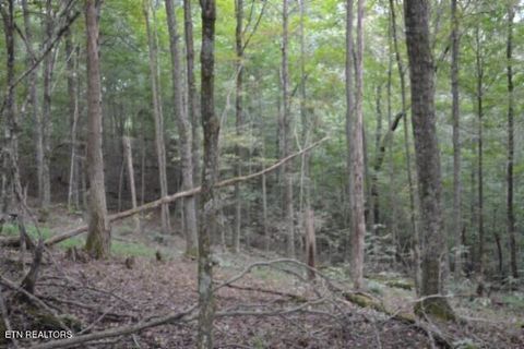Photo of 578 West Lane, Gainesboro, TN 38562 (MLS # 1317722)