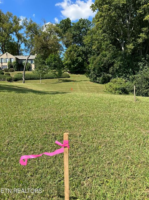 Tiny photo for 2900 Thimbleberry Way, Knoxville, TN 37919 (MLS # 1305981)