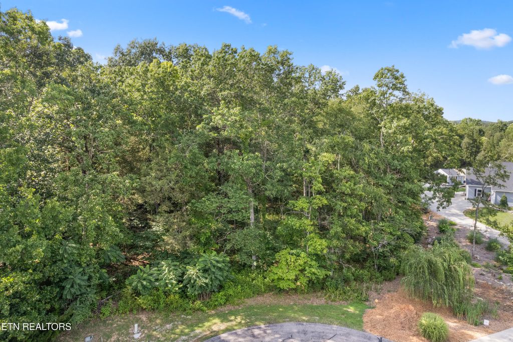 Photo of Bay Shore Drive, Rockwood, TN 37854 (MLS # 1332833)