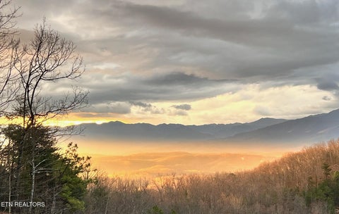 Tiny photo for 2608 Mountain Blvd, Sevierville, TN 37876 (MLS # 1349797)