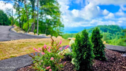 Tiny photo for 2608 Mountain Blvd, Sevierville, TN 37876 (MLS # 1349797)