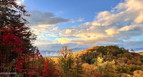 Tiny photo for 2608 Mountain Blvd, Sevierville, TN 37876 (MLS # 1349797)