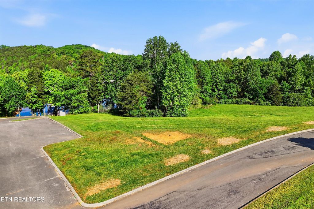 Photo of 261 White Swan Drive, Vonore, TN 37885 (MLS # 1337994)