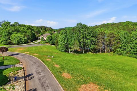Photo of 261 White Swan Drive, Vonore, TN 37885 (MLS # 1337994)
