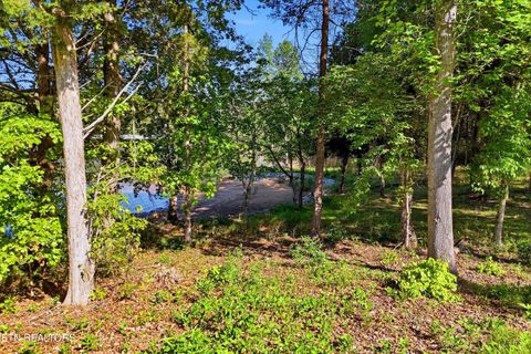 Tiny photo for 261 White Swan Drive, Vonore, TN 37885 (MLS # 1337994)