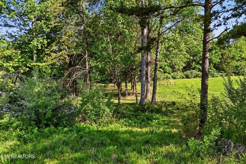 Tiny photo for 261 White Swan Drive, Vonore, TN 37885 (MLS # 1337994)
