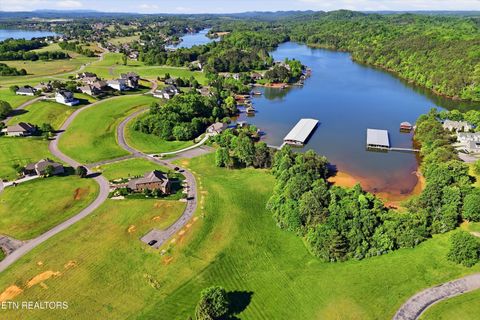 Tiny photo for 261 White Swan Drive, Vonore, TN 37885 (MLS # 1337994)