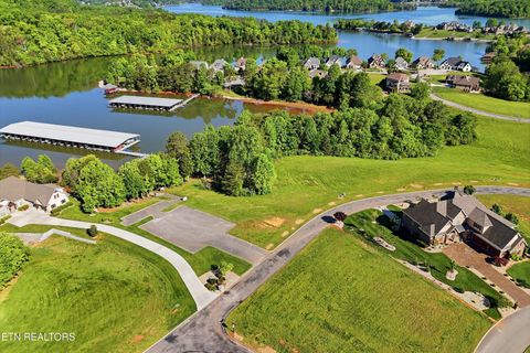 Tiny photo for 261 White Swan Drive, Vonore, TN 37885 (MLS # 1337994)