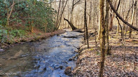 1968 E Millers Cove Rd Walland TN 37886