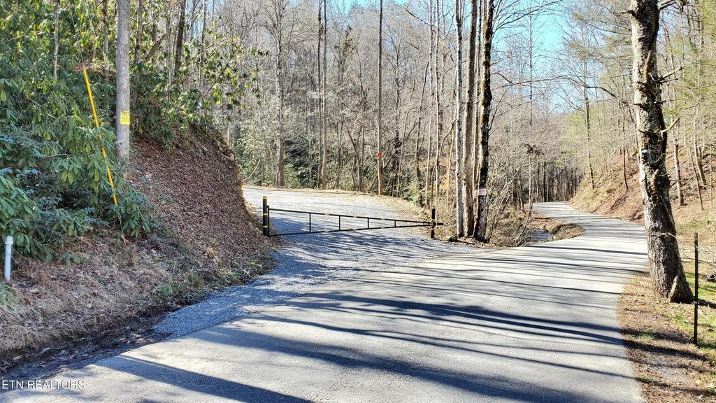 Photo of 1968 E Millers Cove Rd, Walland, TN 37886 (MLS # 1337439)