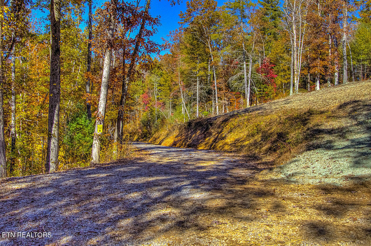 1968 E Millers Cove Rd