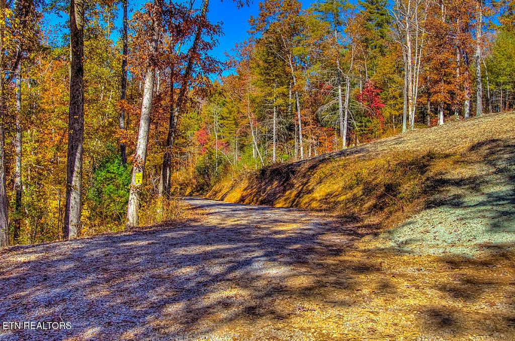 Photo of 1968 E Millers Cove Rd, Walland, TN 37886 (MLS # 1337439)