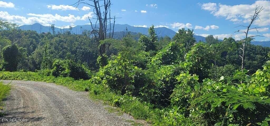 Photo of 8 Kristis Place, Gatlinburg, TN 37738 (MLS # 1310341)