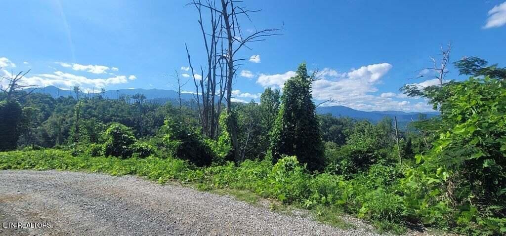 Photo of 8 Kristis Place, Gatlinburg, TN 37738 (MLS # 1310341)