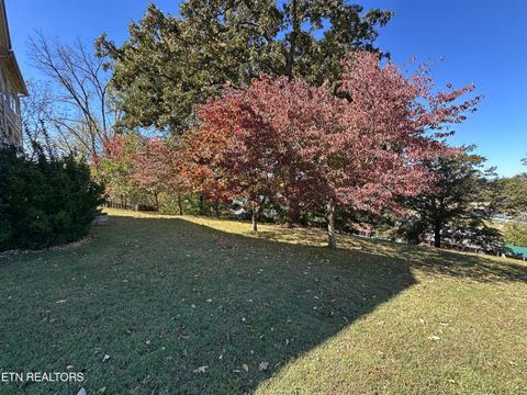 Tiny photo for 111 Bryan Hill Drive, Tellico Plains, TN 37385 (MLS # 1319764)