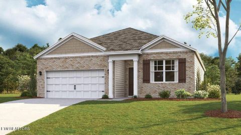 867 Joseph Francis Way Clinton TN 37716