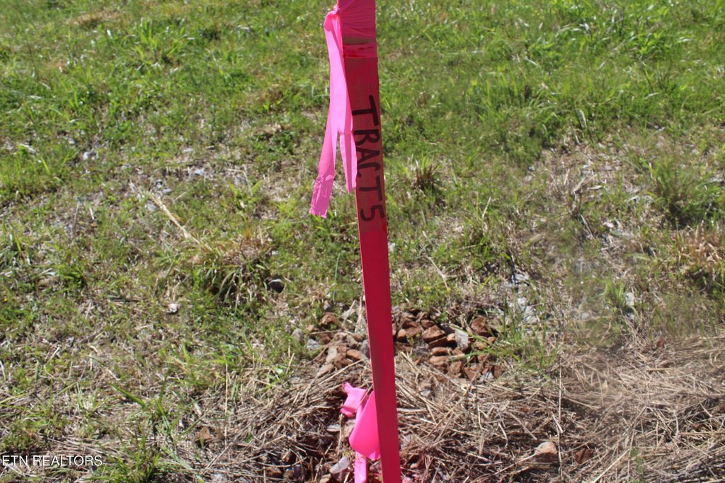 Photo of 3780 Wayne Bryant Rd, Louisville, TN 37777 (MLS # 1336936)