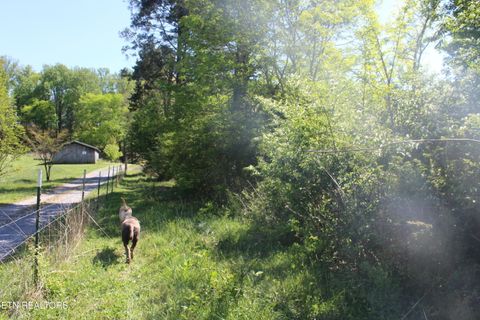 Photo of 3780 Wayne Bryant Rd, Louisville, TN 37777 (MLS # 1336936)