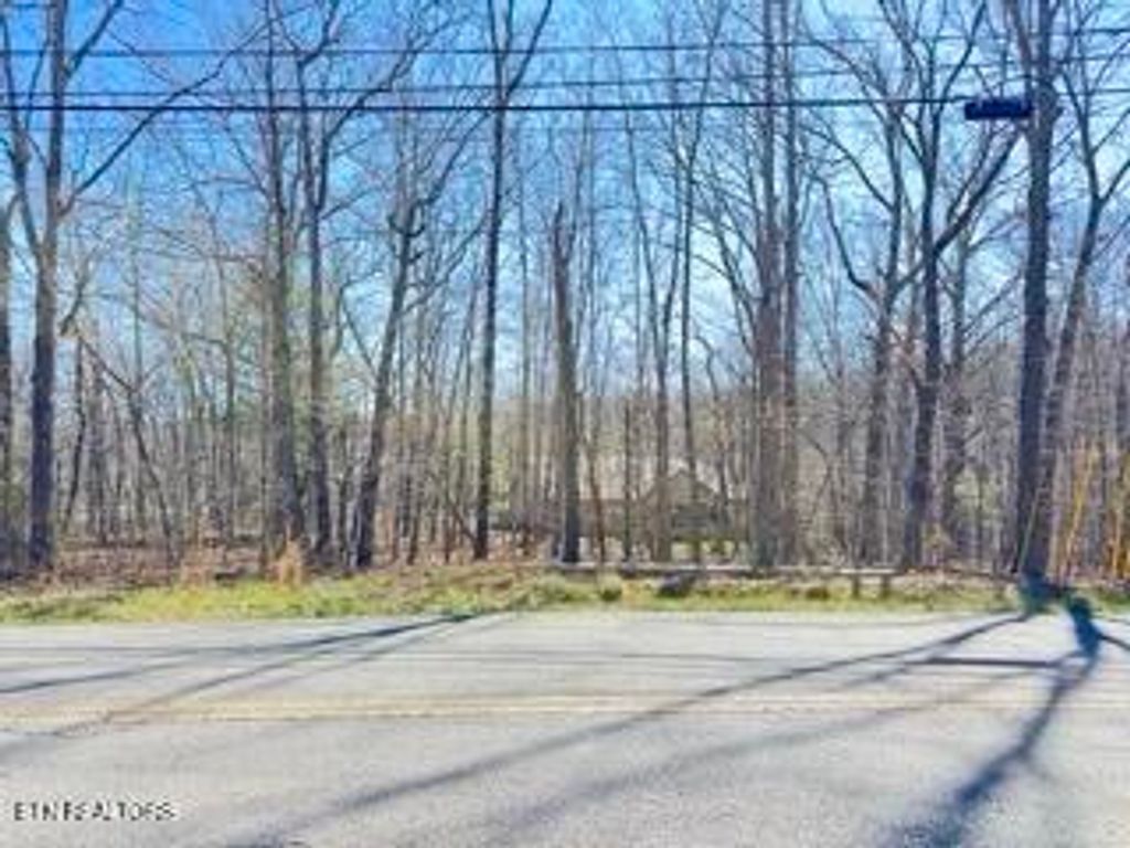 Photo of 155 Manchester Rd, Crossville, TN 38558 (MLS # 1335047)