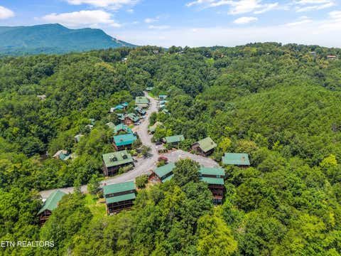 Tiny photo for 3208 White Falcon Way Way #814, Pigeon Forge, TN 37863 (MLS # 1349963)