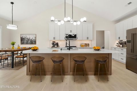 Tiny photo for 124 Nunyu Tr, Vonore, TN 37885 (MLS # 1295097)