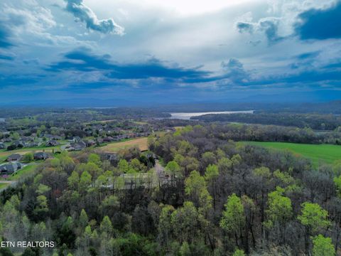 Tiny photo for 124 Nunyu Tr, Vonore, TN 37885 (MLS # 1295097)