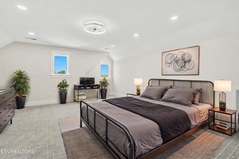 Tiny photo for 124 Nunyu Tr, Vonore, TN 37885 (MLS # 1295097)