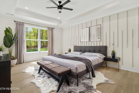 Tiny photo for 124 Nunyu Tr, Vonore, TN 37885 (MLS # 1295097)