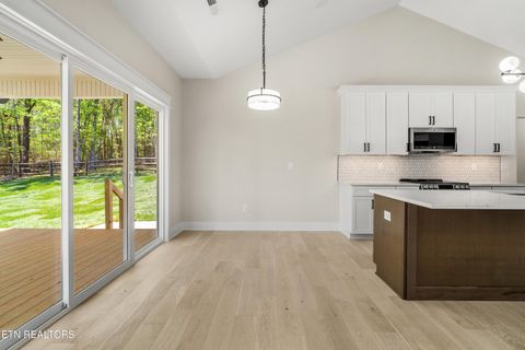 Tiny photo for 124 Nunyu Tr, Vonore, TN 37885 (MLS # 1295097)