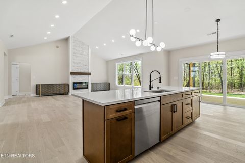 Tiny photo for 124 Nunyu Tr, Vonore, TN 37885 (MLS # 1295097)